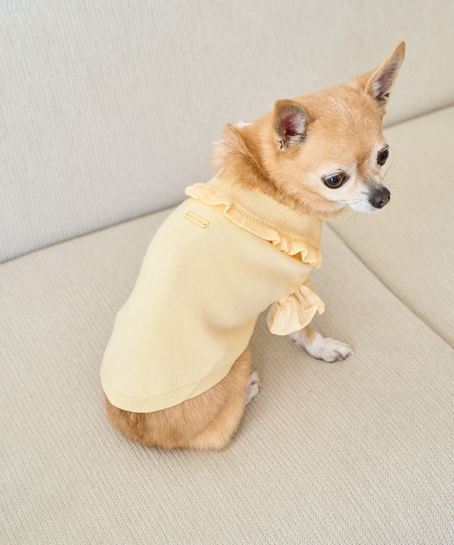 ROPE PICNIC PASSAGE「【DOG】袖プリ－ツニットプルオーバー/リンクコーデ」|その他|クリーム(83)