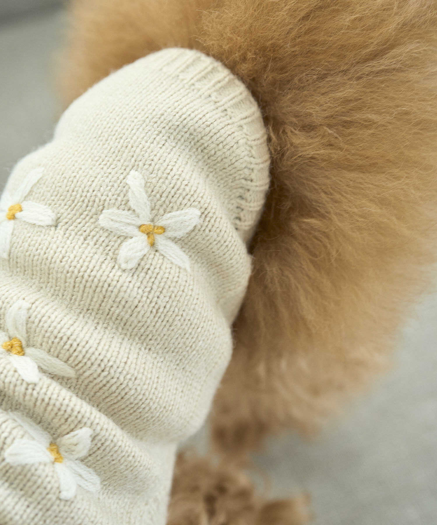 ROPE PICNIC PASSAGE「【DOG】フラワーモチーフニット」|その他|