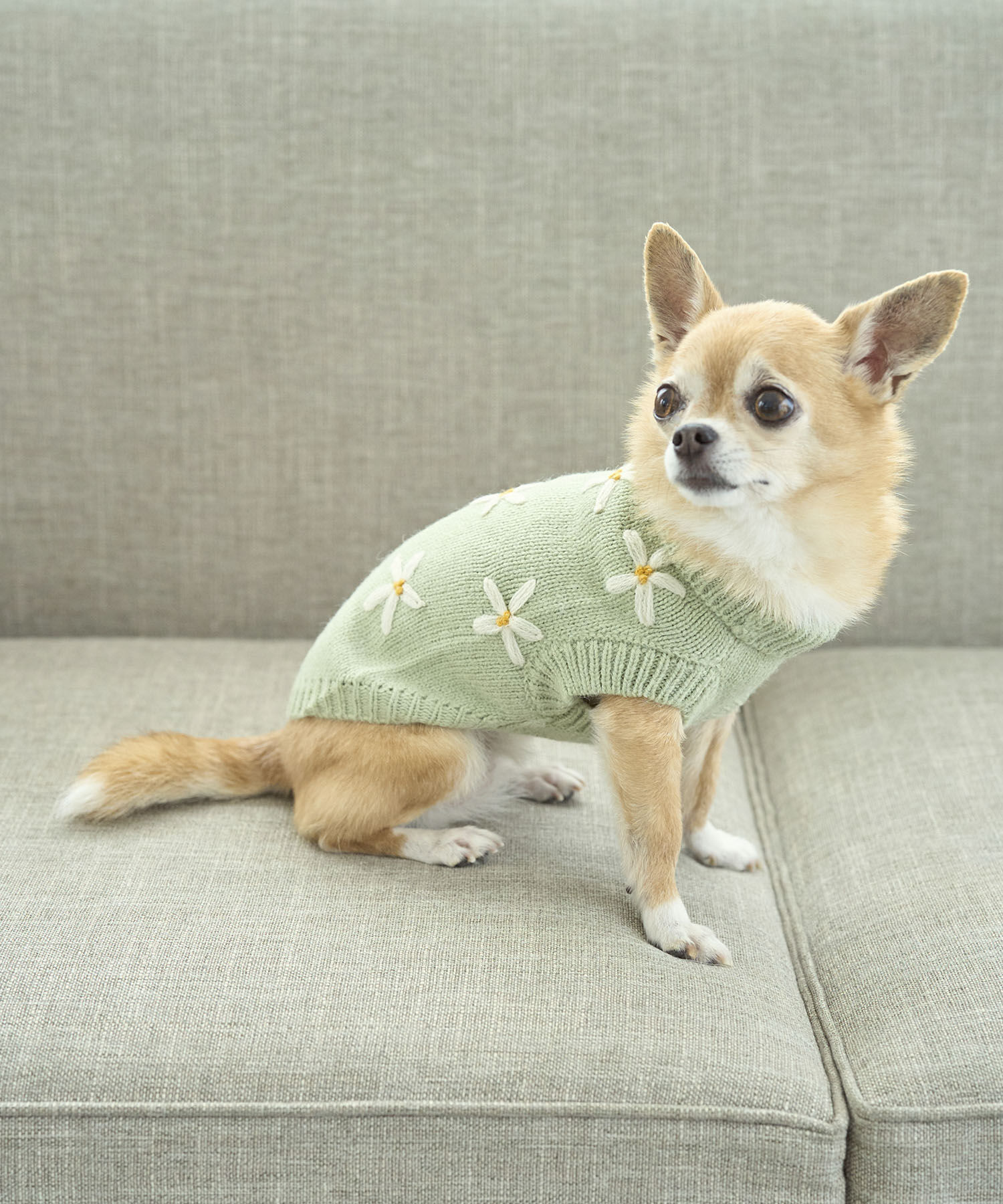 ROPE PICNIC PASSAGE「【DOG】フラワーモチーフニット」|その他|ライトグリーン(33)