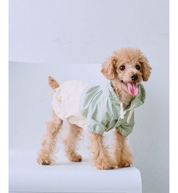 ROPE PICNIC PASSAGE「【DOG】【撥水加工】バイカラーマウンテンパーカー」|その他|