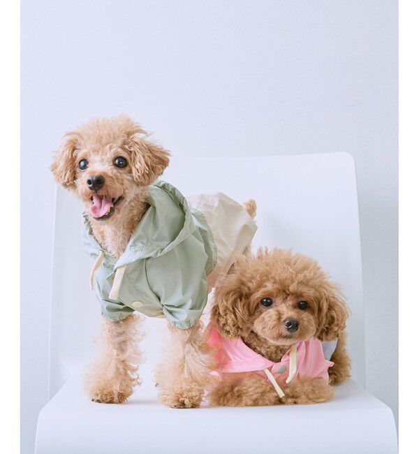 ROPE PICNIC PASSAGE「【DOG】【撥水加工】バイカラーマウンテンパーカー」|その他|