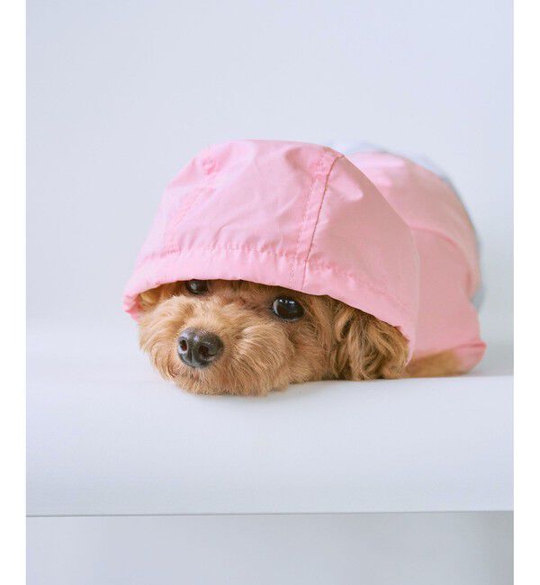 ROPE PICNIC PASSAGE「【DOG】【撥水加工】バイカラーマウンテンパーカー」|その他|ピンク