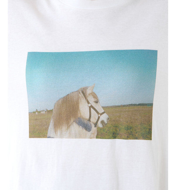  「フォトロングスリーブTシャツ」|Tシャツ・カットソー|