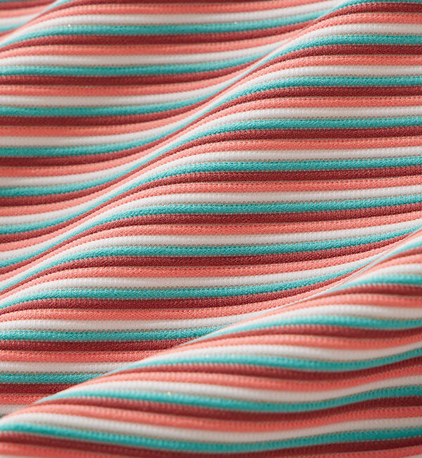  「マルチボーダースイムウェア」|ビキニ|