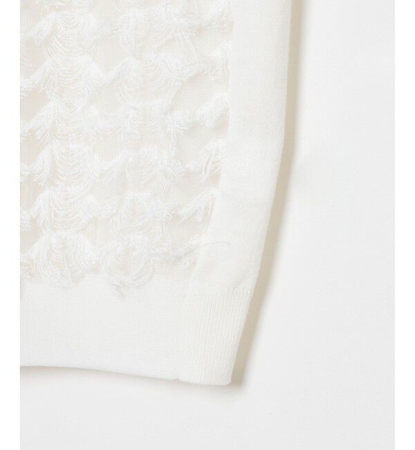 allureville「シアーカットジャガード プルオーバー」|ニット・セーター|