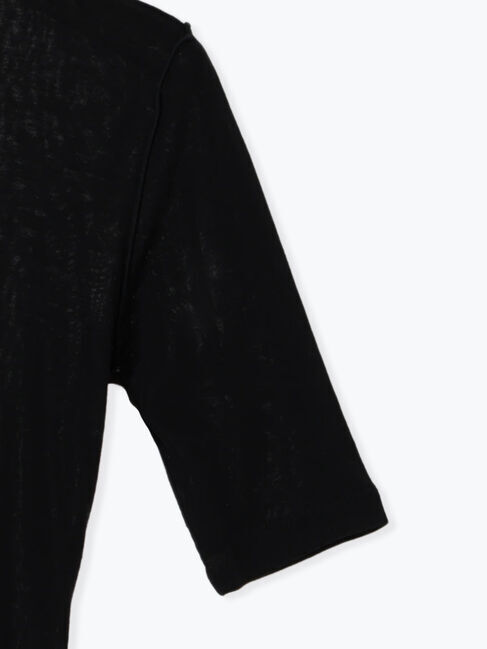 Te chichi「ウールブレンドエアー天竺メロートップス（アンサンブル可）《2025summer catalog item》」|Tシャツ・カットソー|