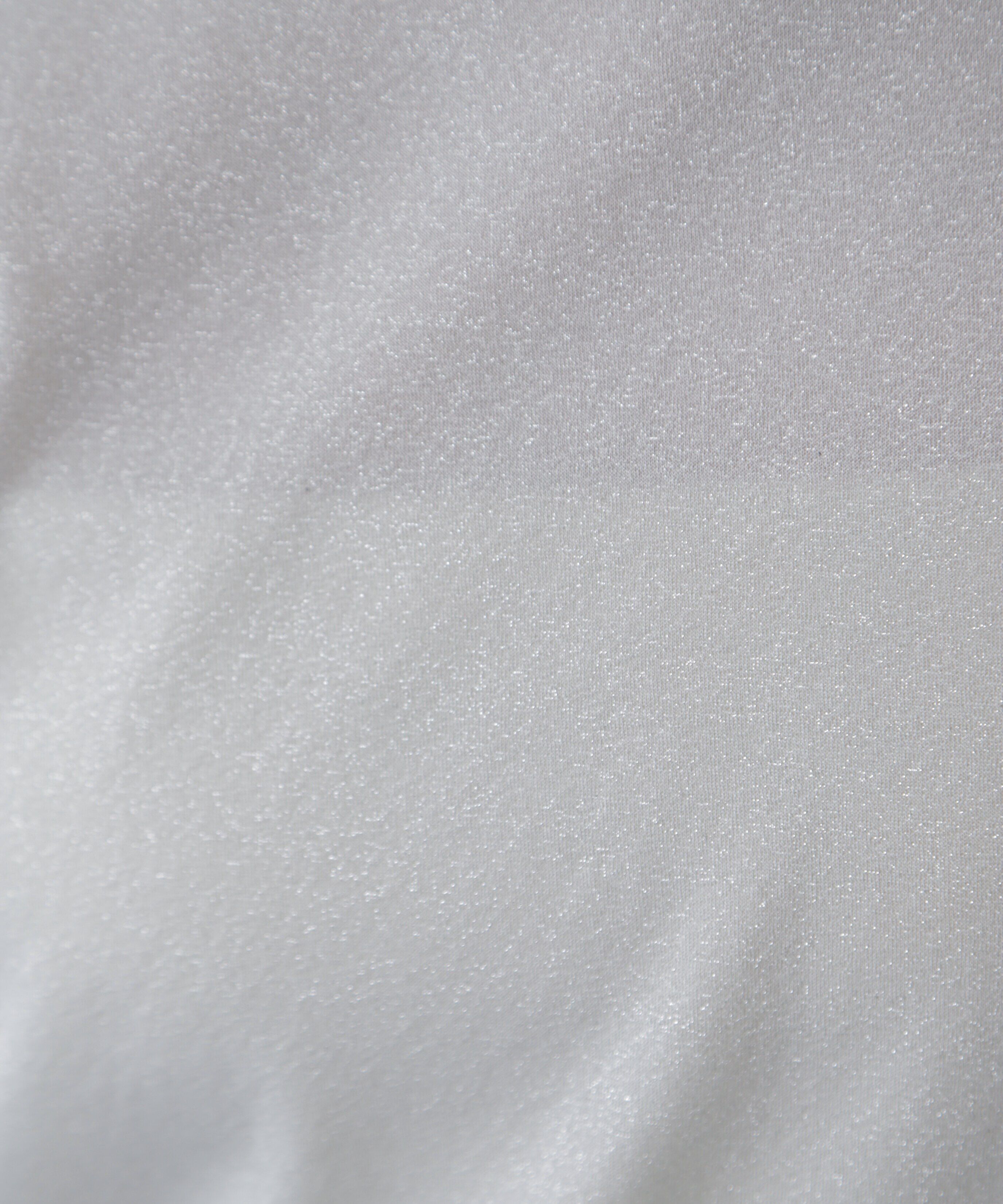  「ラメシアークルーネック半袖カットソー」|Tシャツ・カットソー|