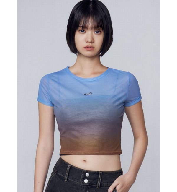 EMODA「フィットシアークロップトップ」|Tシャツ・カットソー|