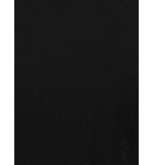 LAGUNAMOON「ベロアノースリトップス」|Tシャツ・カットソー|