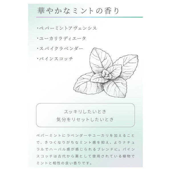  「アロマゴコチ アロマゴコチ ミント 本体 (18枚)」|その他|
