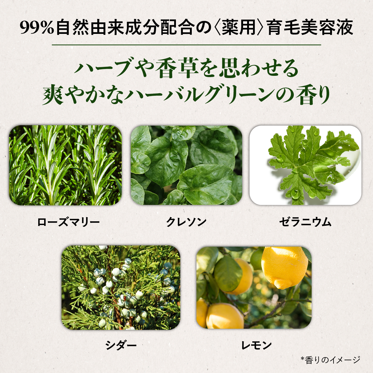 L&rsquo;OCCITANE「薬用 メディカル アンチヘアロスセラム＜医薬部外品＞」|その他|