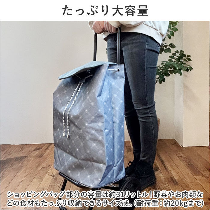 BACKYARD FAMILY「ココロ ショッピング カート 通販 ショッピングカート 2輪 cocoro 保冷 保温」|キャリーケース|