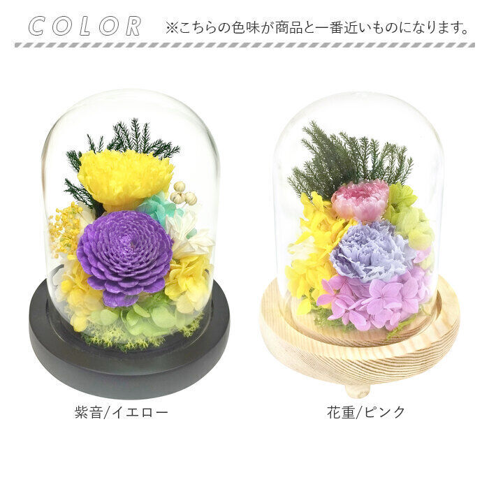 BACKYARD FAMILY「ガラスドーム インテリア アレンジメント L 通販 フラワーアレンジメント プリザーブドフラワー」|その他|