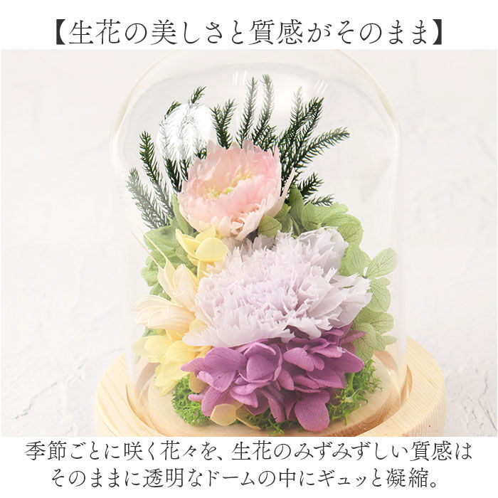 BACKYARD FAMILY「ガラスドーム インテリア アレンジメント L 通販 フラワーアレンジメント プリザーブドフラワー」|その他|