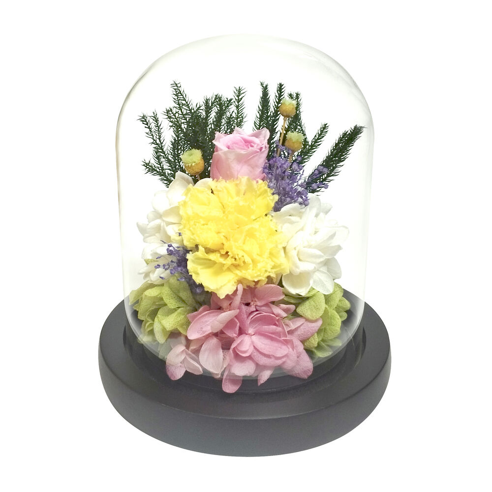BACKYARD FAMILY「ガラスドーム インテリア アレンジメント L 通販 フラワーアレンジメント プリザーブドフラワー」|その他|イエロー2