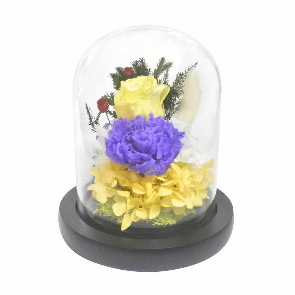 BACKYARD FAMILY「ガラスドーム インテリア アレンジメント L 通販 フラワーアレンジメント プリザーブドフラワー」|その他|イエロー4