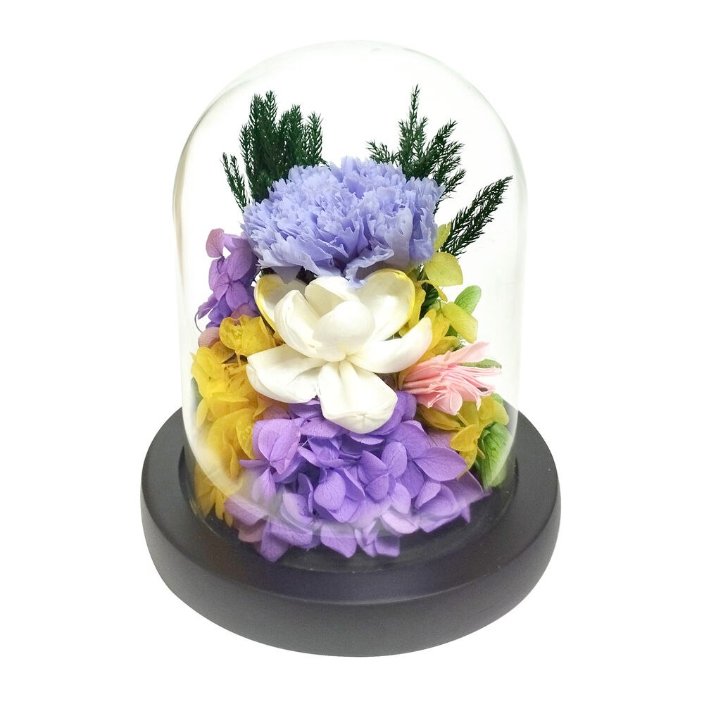 BACKYARD FAMILY「ガラスドーム インテリア アレンジメント L 通販 フラワーアレンジメント プリザーブドフラワー」|その他|パープル2