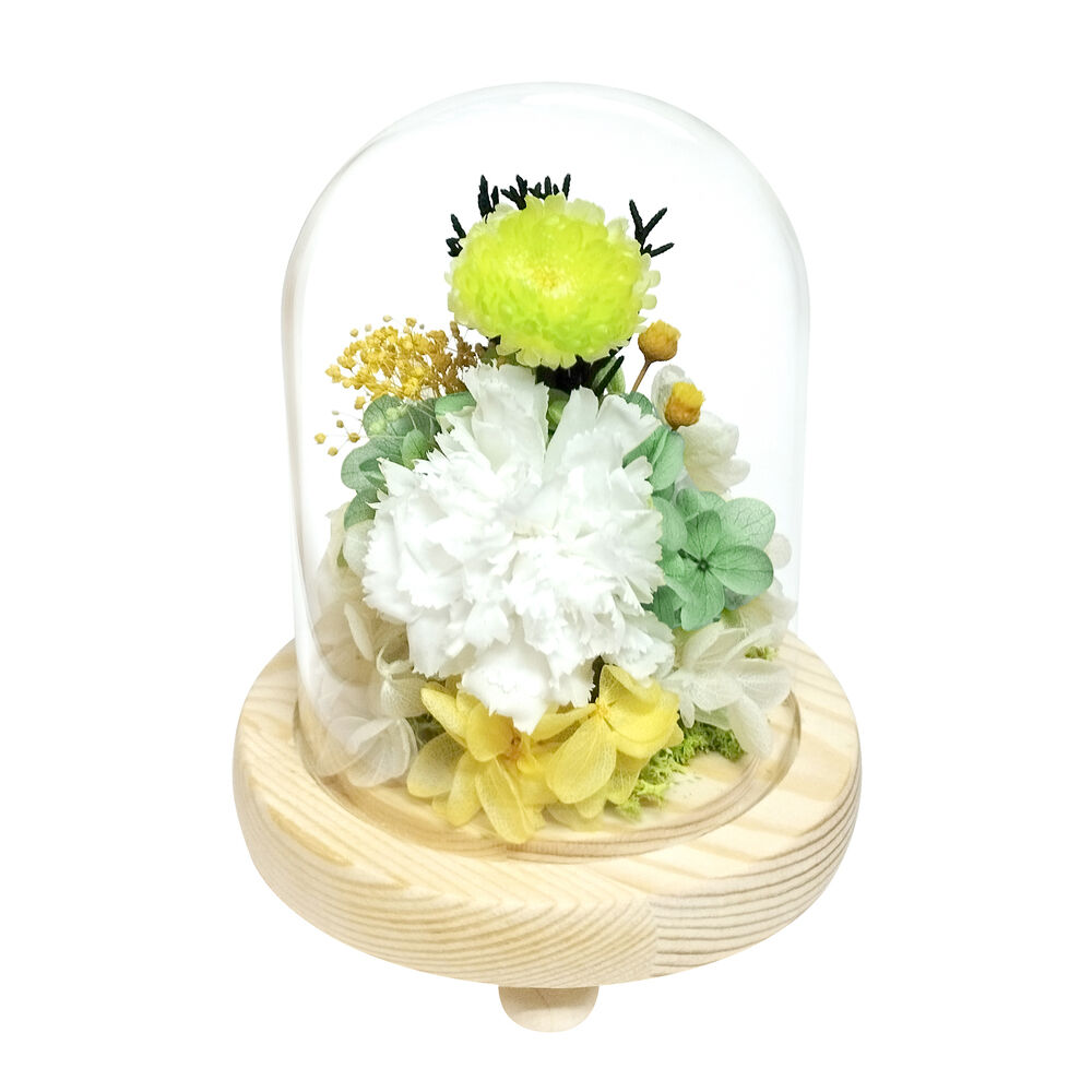 BACKYARD FAMILY「ガラスドーム インテリア アレンジメント L 通販 フラワーアレンジメント プリザーブドフラワー」|その他|グリーン1