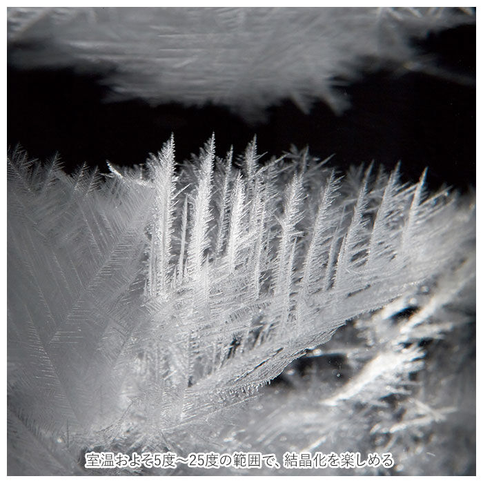 BACKYARD FAMILY「温度計＆ストームグラス 通販 気象計 天気予報 温度計 天気管 ガリレオ温度計 ガリレオ」|その他|