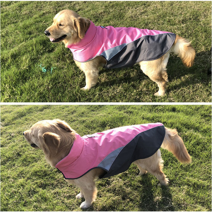 BACKYARD FAMILY「レインコート 犬用 通販 2xlサイズ 3xlサイズ 犬レインコート ドッグウェア 雨カッパ」|その他|