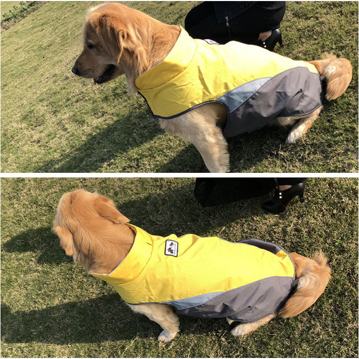 BACKYARD FAMILY「レインコート 犬用 通販 2xlサイズ 3xlサイズ 犬レインコート ドッグウェア 雨カッパ」|その他|