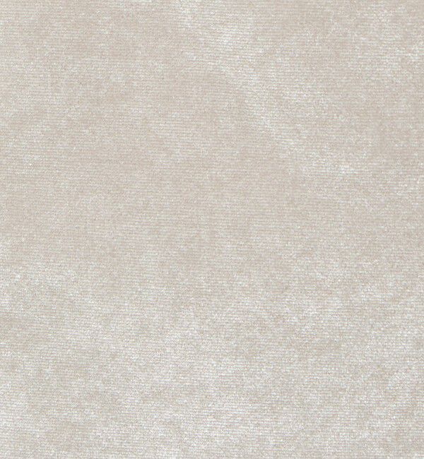 STEVEN ALAN「＜Steven Alan＞ベロア トートバッグ スモール」|トートバッグ|