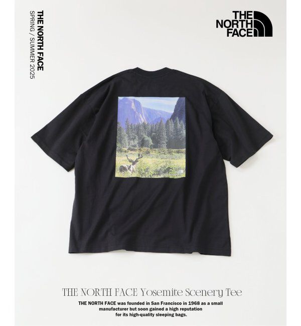 JOURNAL STANDARD relume「THE NORTH FACE / ザ ノースフェイス ヨセミテ シーナリー 半袖 T」|Tシャツ・カットソー|ブラック