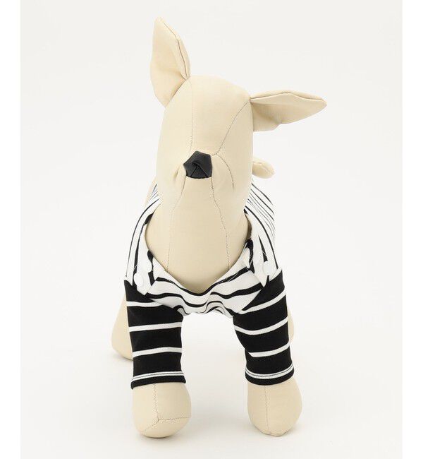 GRACE CONTINENTAL「Dog-TOP4 21AW」|その他|