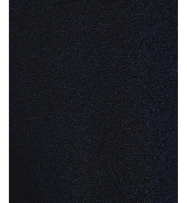 SALON adam et rope'「シャイニージャカードクロップドプルオーバー」|Tシャツ・カットソー|