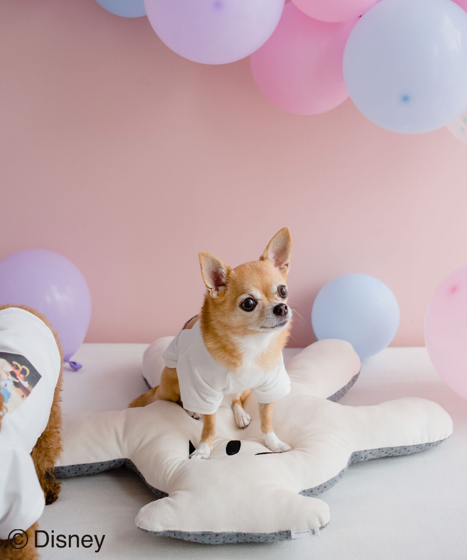 ROPE PICNIC PASSAGE「【DOG】【DISNEY /ディズニー】ミッキー/ハンドクッション」|その他|