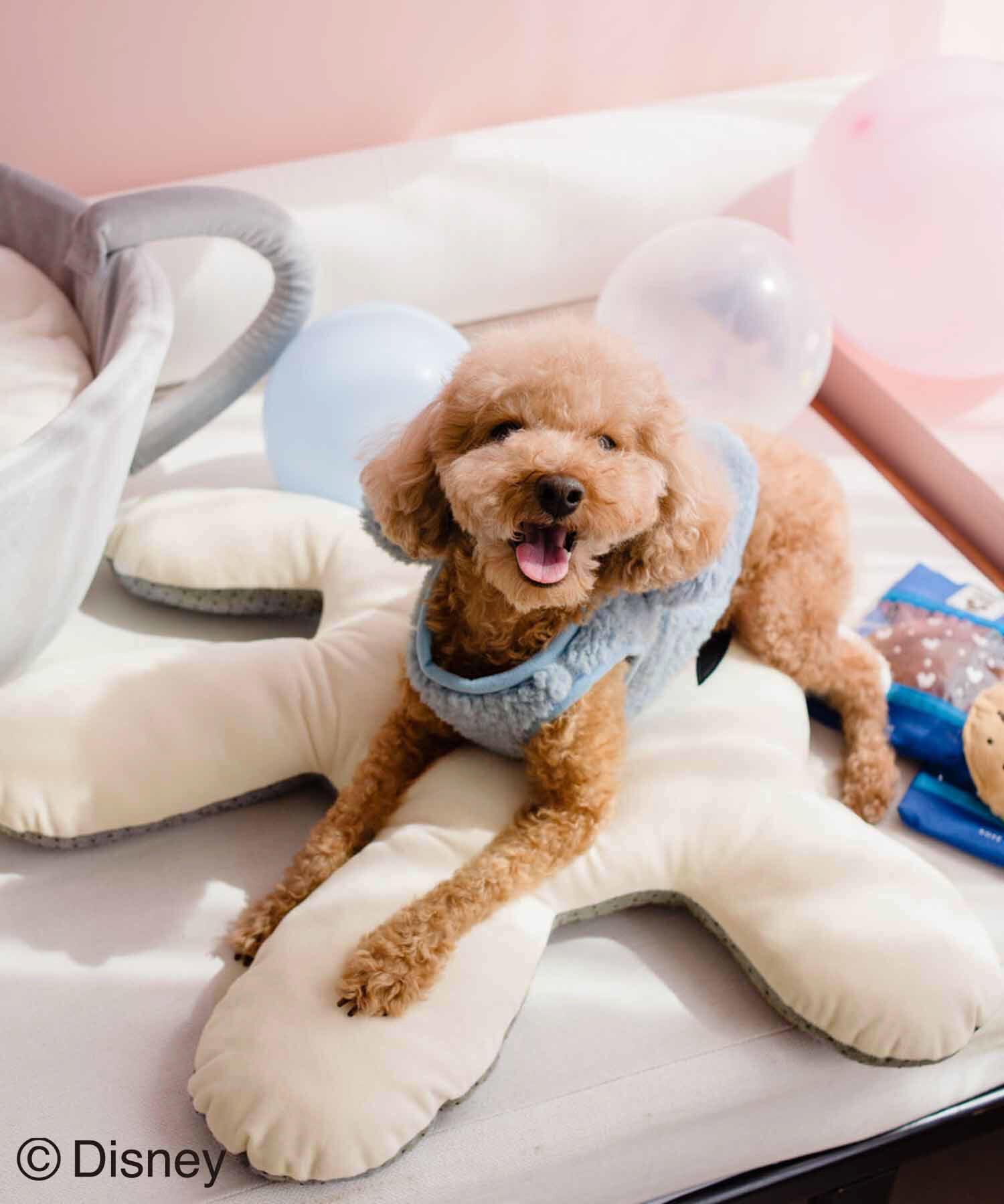 ROPE PICNIC PASSAGE「【DOG】【DISNEY /ディズニー】ミッキー/ハンドクッション」|その他|