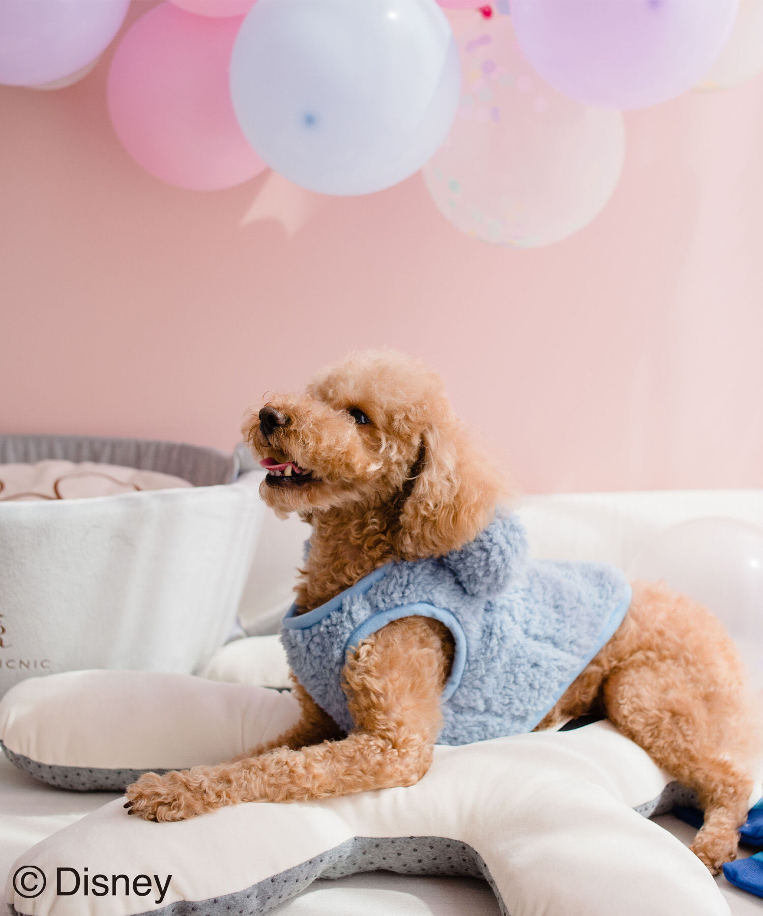 ROPE PICNIC PASSAGE「【DOG】【DISNEY /ディズニー】ミッキー/ハンドクッション」|その他|