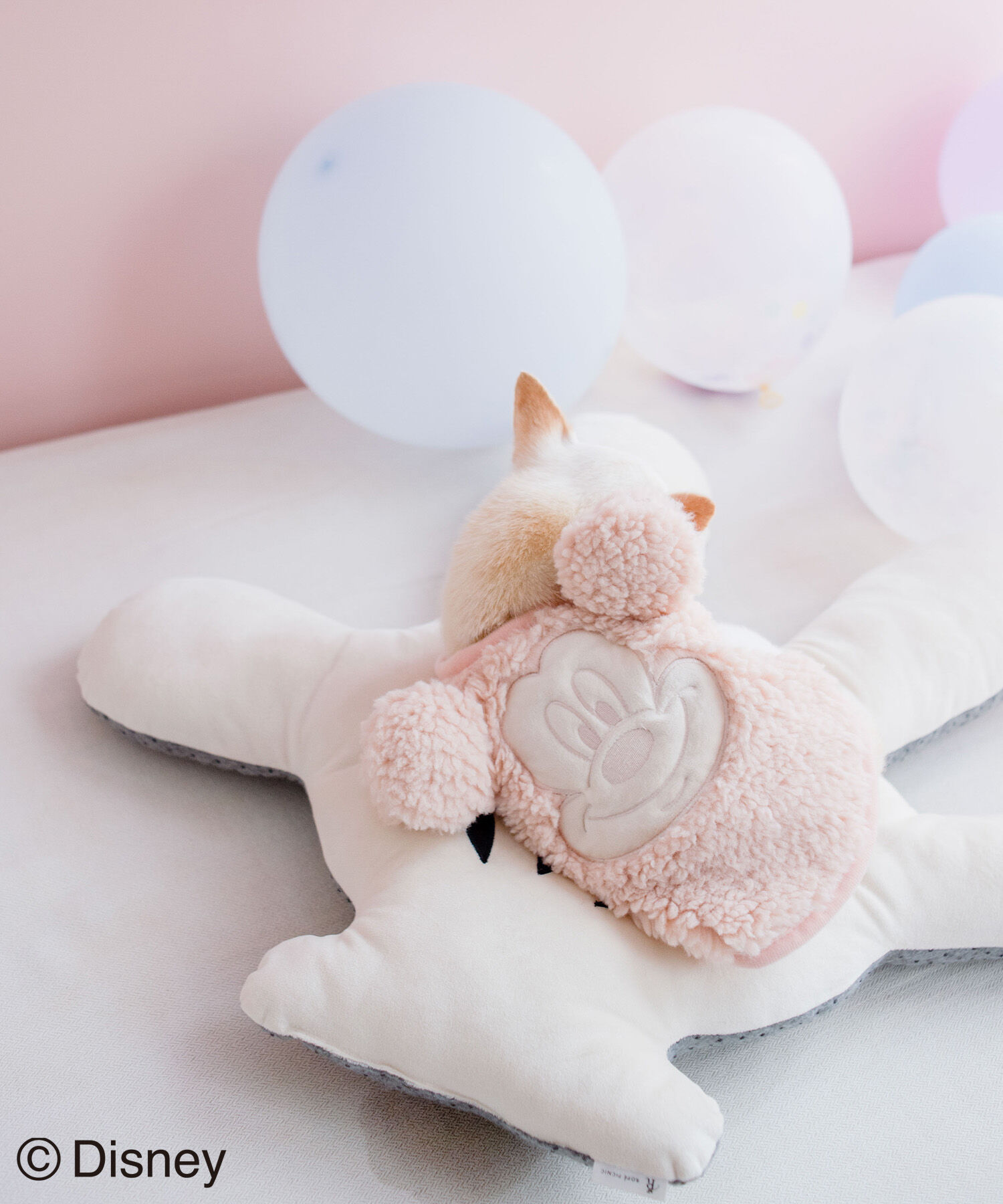 ROPE PICNIC PASSAGE「【DOG】【DISNEY /ディズニー】ミッキー/ハンドクッション」|その他|