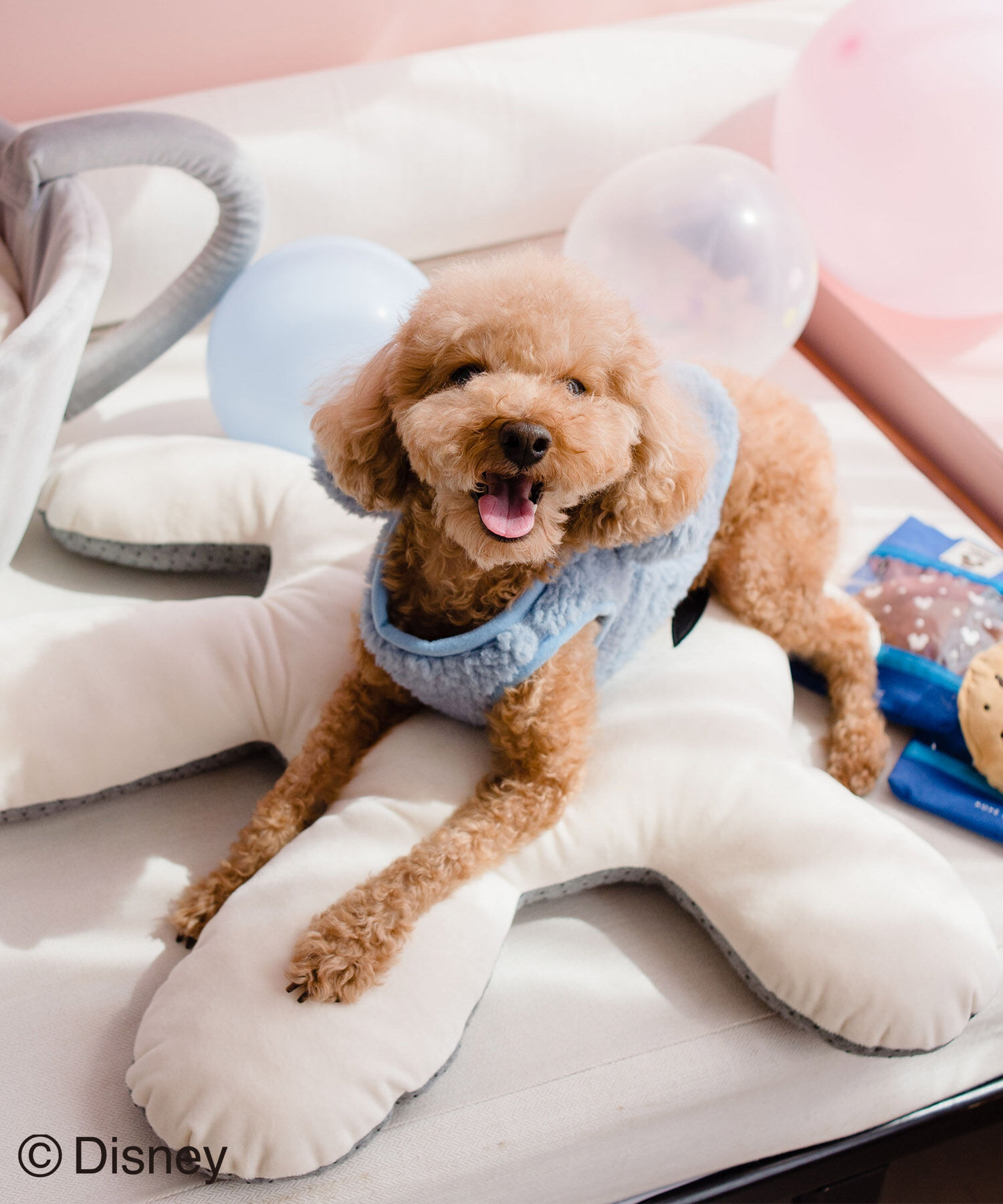 ROPE PICNIC PASSAGE「【DOG】【DISNEY /ディズニー】ミッキー/ハンドクッション」|その他|