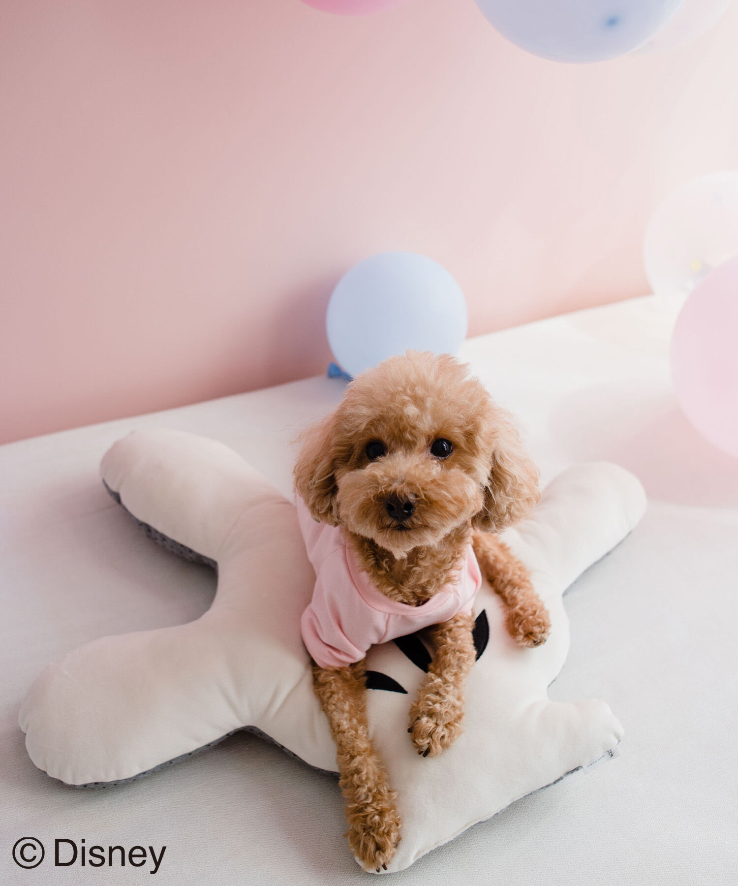 ROPE PICNIC PASSAGE「【DOG】【DISNEY /ディズニー】ミッキー/ハンドクッション」|その他|