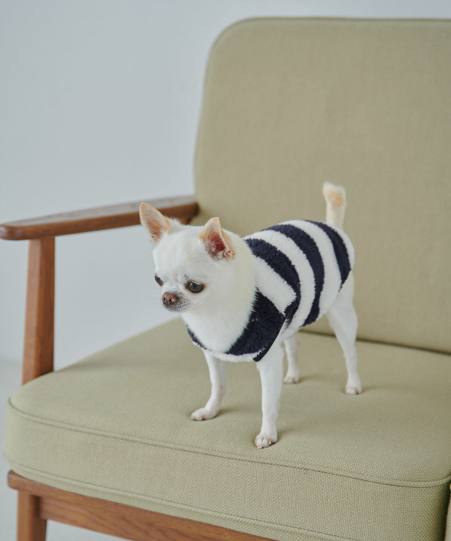 ROPE PICNIC PASSAGE「【DOG】アソートボアプルオーバー/リンクコーデ 」|その他|ネイビー(40)