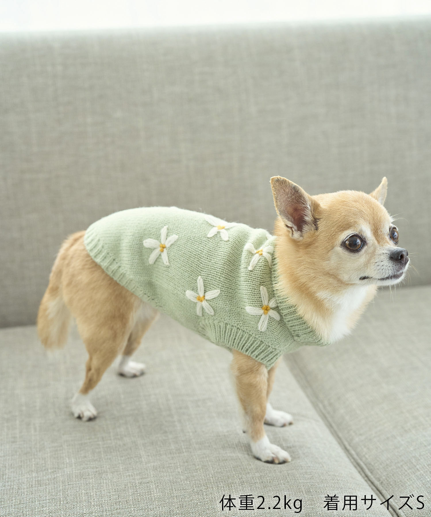 ROPE PICNIC PASSAGE「【DOG】フラワーモチーフニット」|その他|