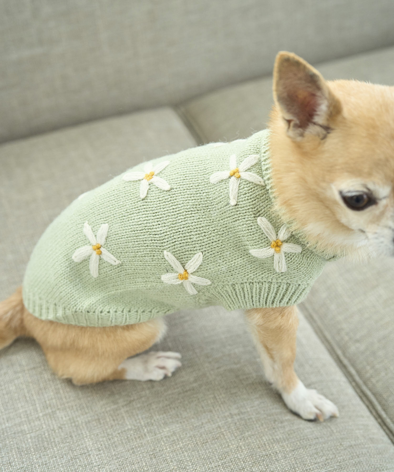 ROPE PICNIC PASSAGE「【DOG】フラワーモチーフニット」|その他|