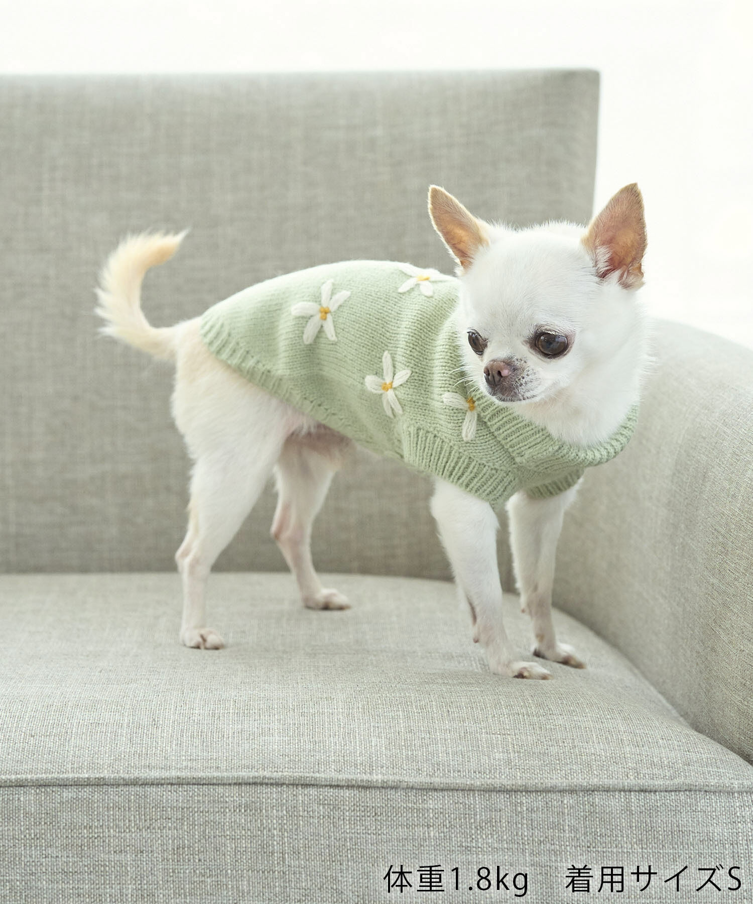 ROPE PICNIC PASSAGE「【DOG】フラワーモチーフニット」|その他|