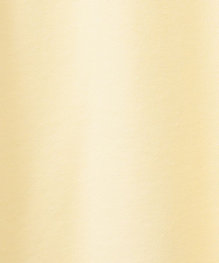 AMERICAN HOLIC「カレッジロゴ裏毛プルオーバー」|スウェット・ジャージ|