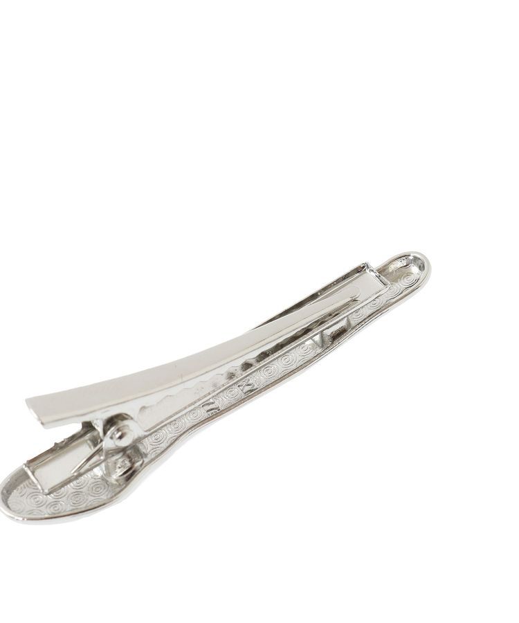 AMERICAN HOLIC「2SETニュアンスメタルクリップ」|その他|