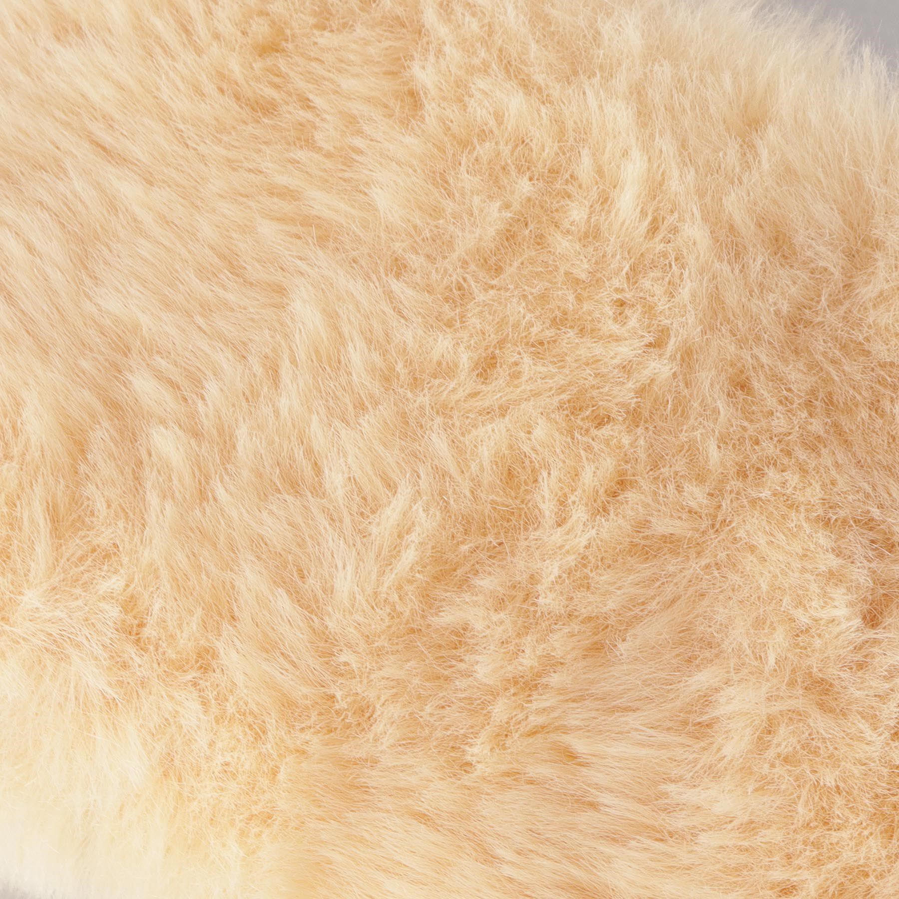 212 KITCHEN STORE「レンジですぐにホッカホカ ジェル湯たんぽ hocca アイマスク くま」|その他|