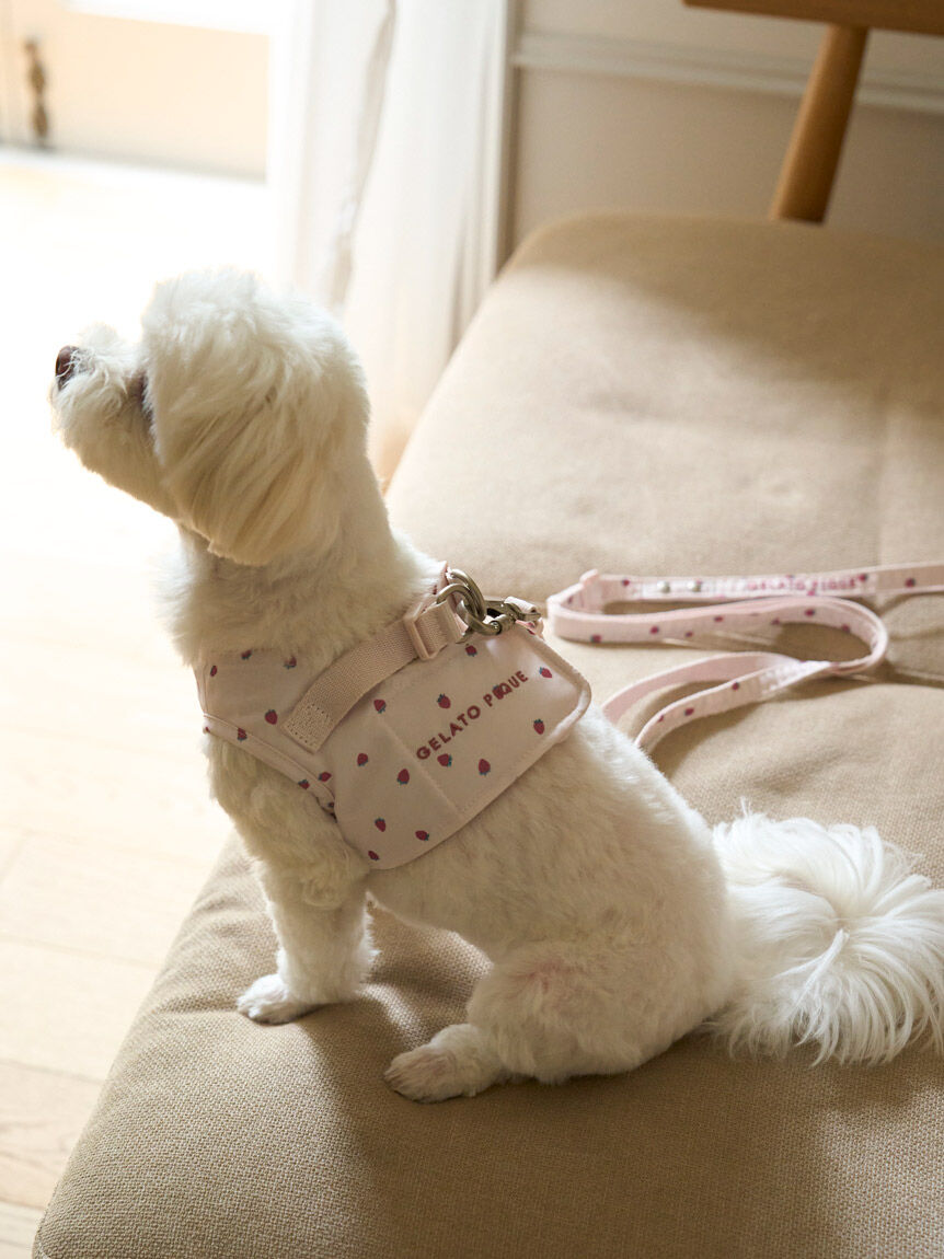  GELATO PIQUE CAT&DOG「【CAT&DOG】【販路限定商品】モチーフ柄ハーネス」|その他|