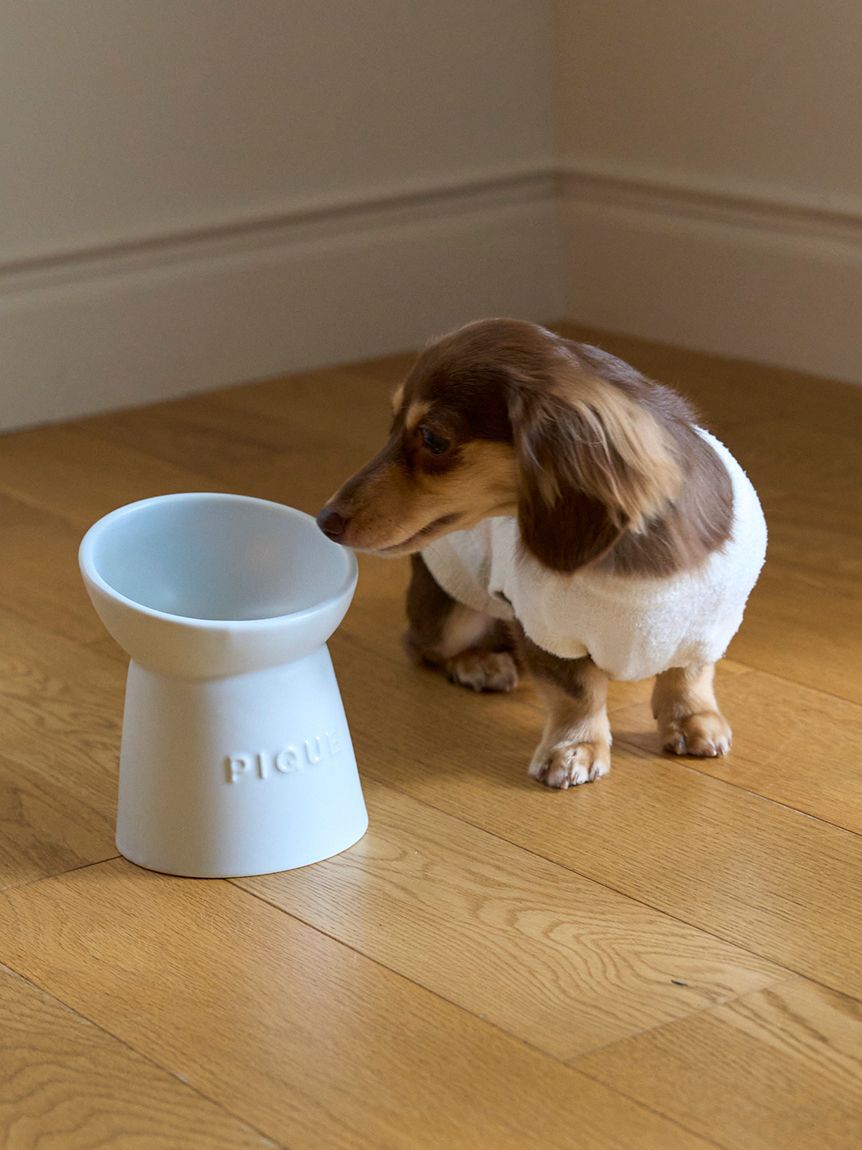  GELATO PIQUE CAT&DOG「【CAT＆DOG】ハイスタンドフードボウル」|その他|