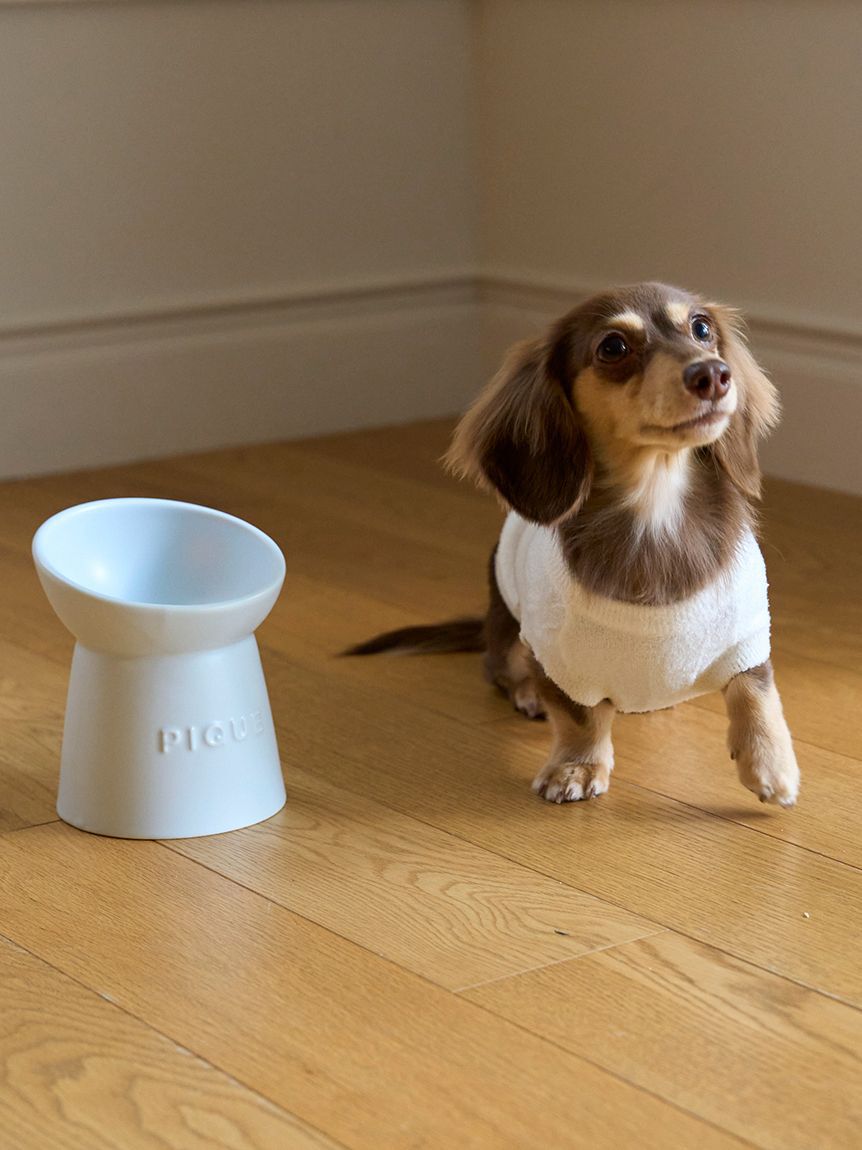  GELATO PIQUE CAT&DOG「【CAT＆DOG】ハイスタンドフードボウル」|その他|