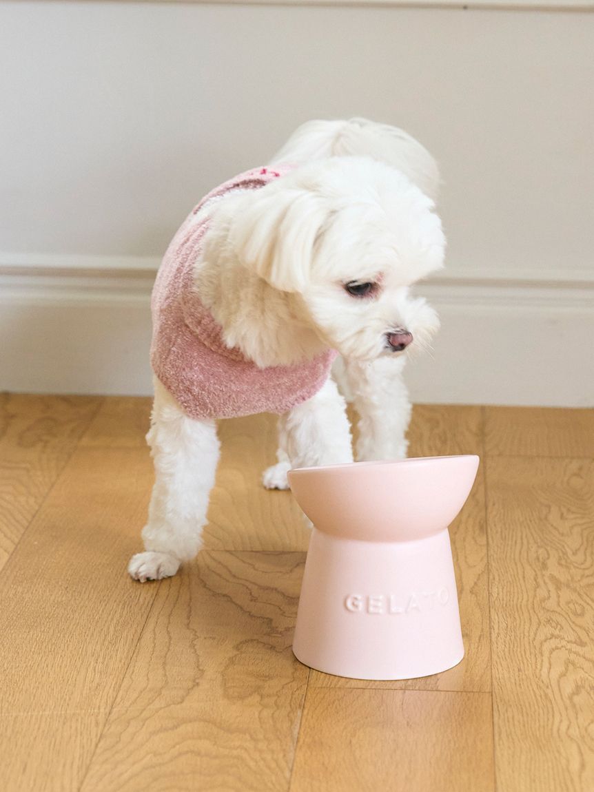  GELATO PIQUE CAT&DOG「【CAT＆DOG】ハイスタンドフードボウル」|その他|