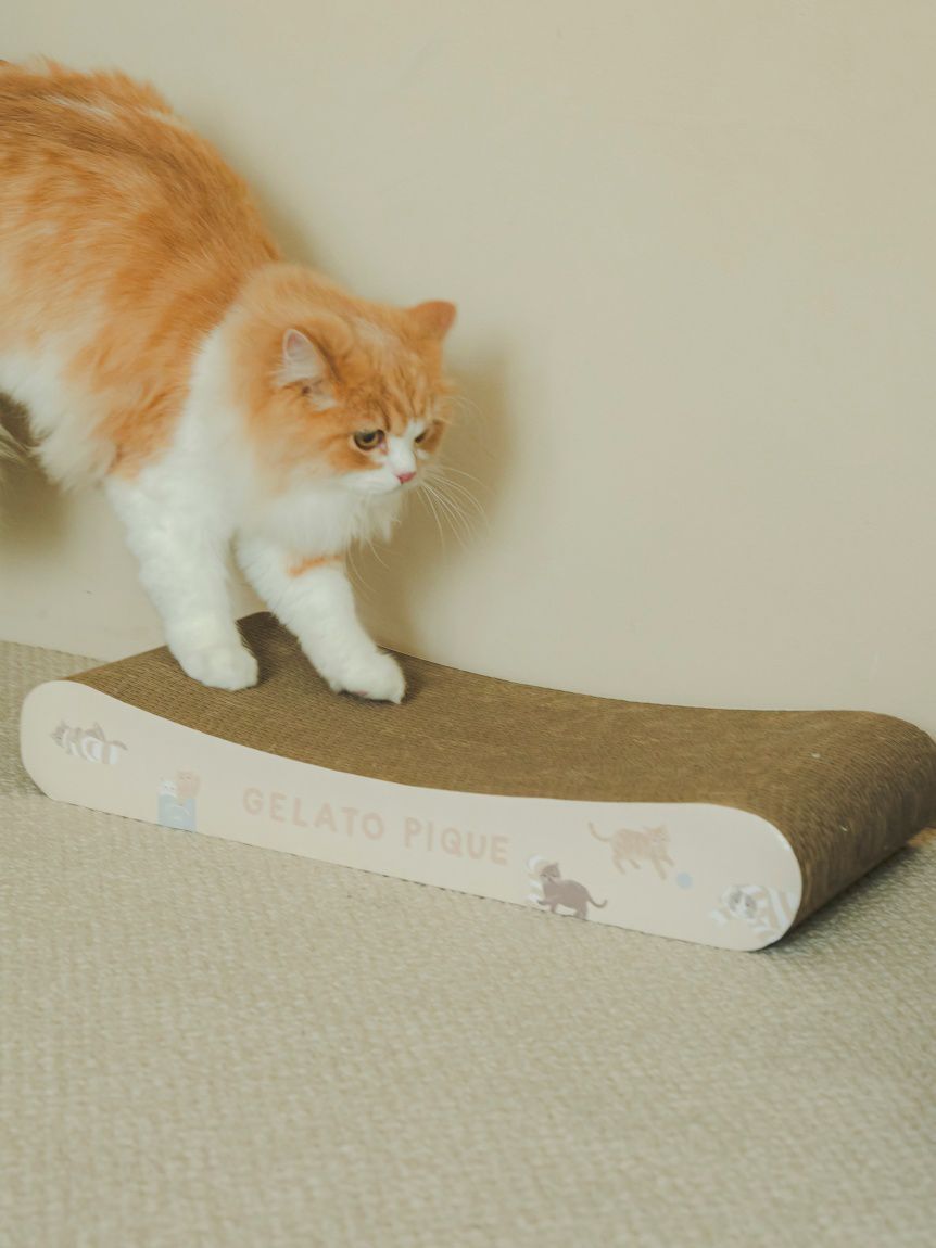  GELATO PIQUE CAT&DOG「【CAT&DOG】ねこ柄つめとぎ」|その他|