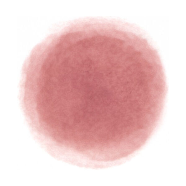  「fwee(フィー) リップアンドチーク ブラーリープリンポット ND03 ウィズアウト (5g)」|リップメイク|