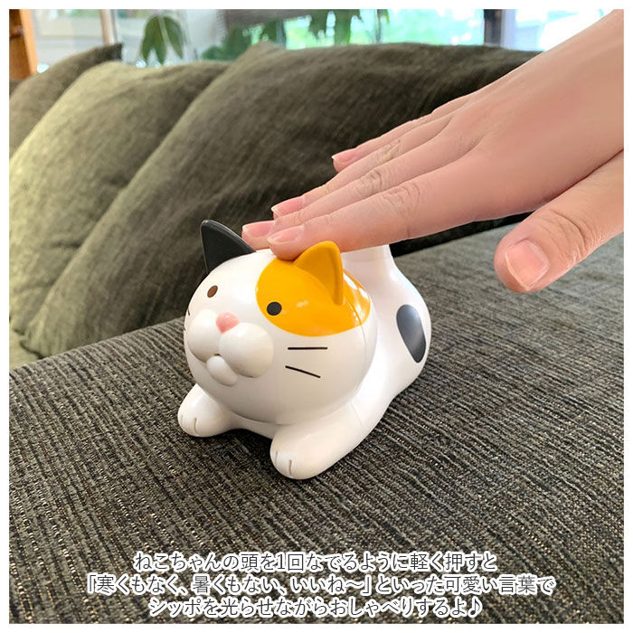 BACKYARD FAMILY「おしゃべり 温度計 湿度計 通販 温湿度計 湿度 温度 光 お知らせ 熱中症対策 猫 ねこ ネコ」|その他|