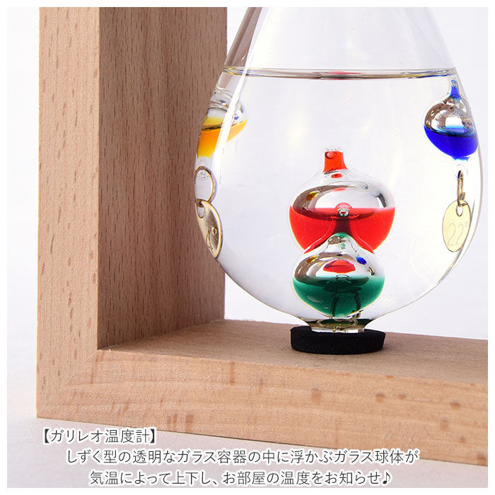 BACKYARD FAMILY「温度計＆ストームグラス 通販 気象計 天気予報 温度計 天気管 ガリレオ温度計 ガリレオ」|その他|